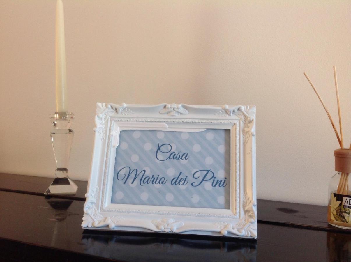 فيلا Casa Mario Dei Pini فياريجيو المظهر الخارجي الصورة